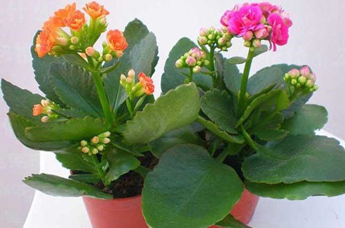  data-cke-saved-src=http___www.zg3n.com.cn_uploadfile_2018_1002_20181002040709273.jpg&refer=http___www.zg3n.com_����.jpg src=http___www.zg3n.com.cn_uploadfile_2018_1002_20181002040709273.jpg&refer=http___www.zg3n.com_����.jpg