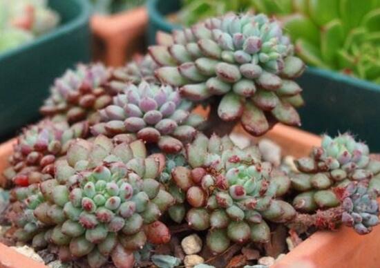 �����~���кڰ���ô�k��3�����E�����Q�ڰ߆��}