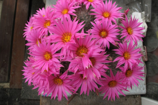 �������_����ʲô���^�ܷ��ڼ����B��